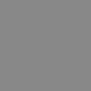 IMG_000839_1.png (300 x 300 FileSize:1 KB ) by Unknown